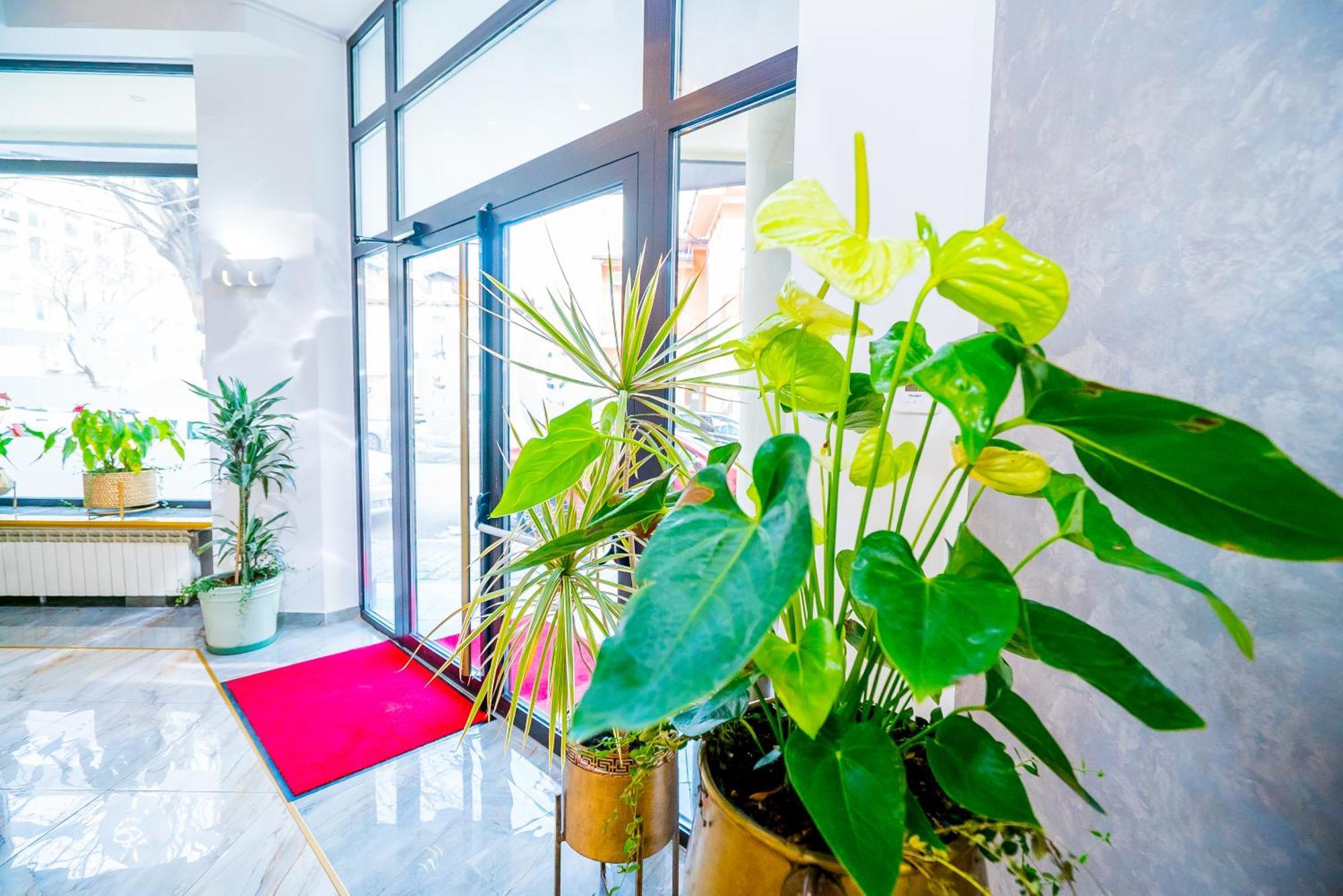 קונסטנצה Guci Hotel מראה חיצוני תמונה